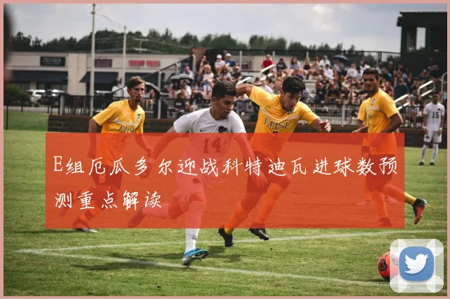 E组厄瓜多尔迎战科特迪瓦进球数预测重点解读