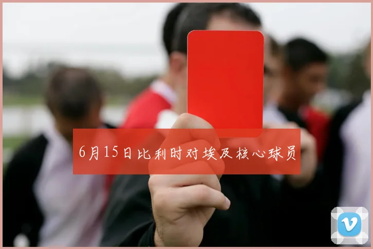 6月15日比利时对埃及核心球员