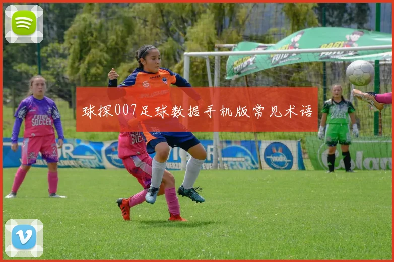 球探007足球数据手机版常见术语